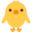 front-facing baby chick